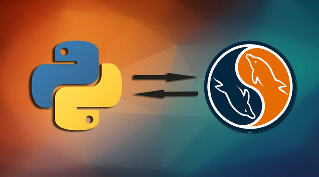 Python Connect MySQL Database